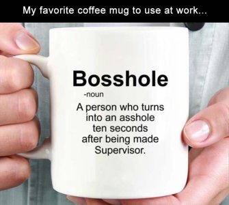 BOSSHOLE.jpg