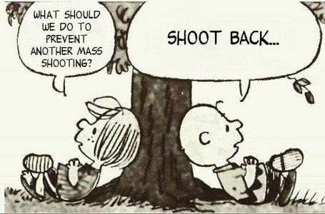 shootback.jpg