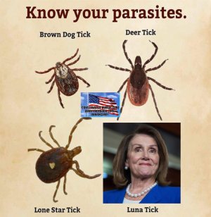 Parasites.jpg