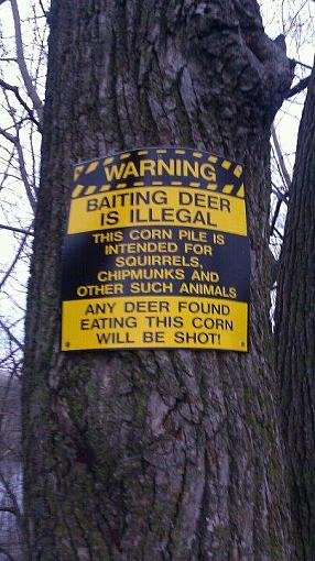 Deer%20Bait.jpg
