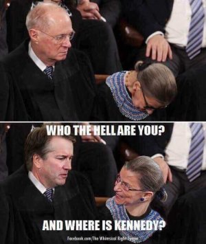 985B44A1-9373-48B1-9B90-9209CB47466B.jpeg