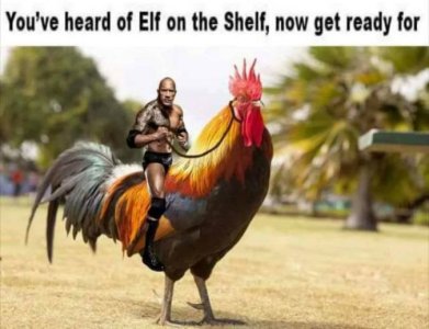 CF1C1647-1E08-4C39-8DBA-E1A5384F88D5.jpeg