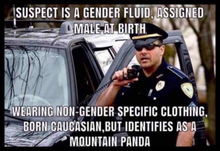 34D742C7-9E16-42FA-89DF-B5D1C9220F26.jpeg