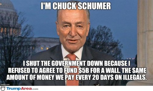 0C07F7ED-9E2E-49C6-A194-26CAC753D464.jpeg