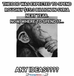 BDFA37E6-8FDB-4BF3-8089-DC478E9A75FD.jpeg