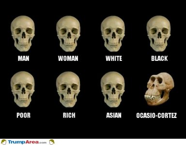 E1924788-173A-42E6-9089-F6987E383226.jpeg