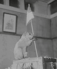 F819D4EF-6EFF-40DC-B302-49A33A6087E3.gif