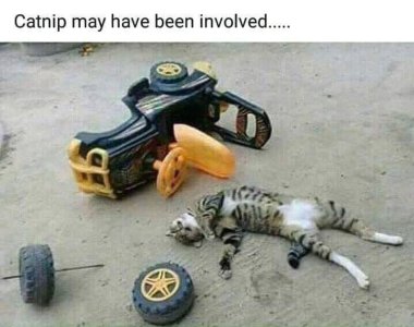 E3685A3D-4E44-42B5-99D6-40C2BF64D157.jpeg
