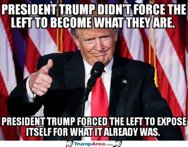 547C5E3F-774B-4372-9E22-7FC2BF92AE5D.jpeg