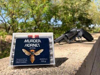 murder hornet defense.jpeg