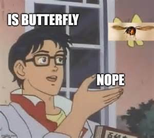 ECFF2223-F2F0-4C9C-B958-A05F779ADA20.jpeg