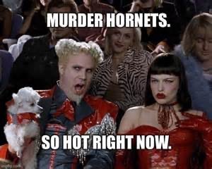 91458C9F-56DF-4DBE-8814-5B887B2751BB.jpeg