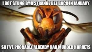 7D56A831-2D27-456E-A063-D3C957B59ECE.jpeg