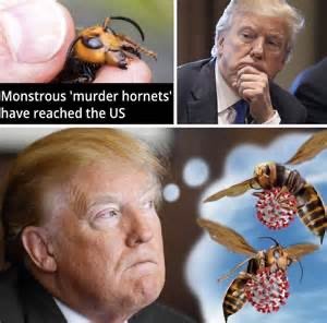 8F083438-93AD-40D1-A15A-E0CC0EE7B3E4.jpeg
