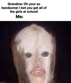 93E0A0A2-00CC-41E0-941B-E7C78C0A0F6E.jpeg