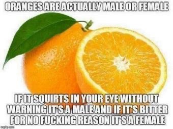 13AE0C0F-C6E0-471E-A26D-240FE6C5D691.jpeg