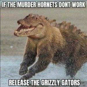 8B078D3E-1633-47BC-AE08-51B579D01A08.jpeg
