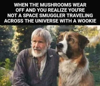 89463A41-AA85-4A3C-B0C4-800A6376BBA6.jpeg