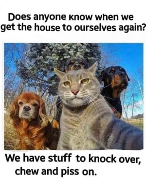 2152E026-38CE-4FBB-854F-CCEC530D2415.jpeg