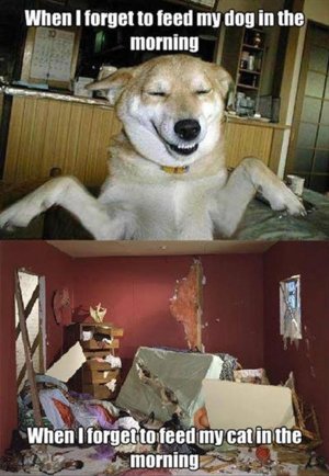 722F9666-1311-4C32-BC15-357F1D8BF8B8.jpeg
