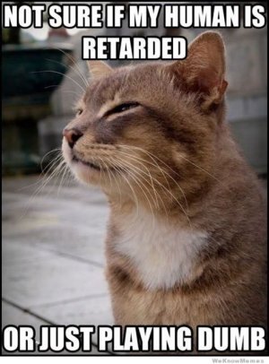 97F34B2A-FB41-47C3-A149-6A636F021F3C.jpeg