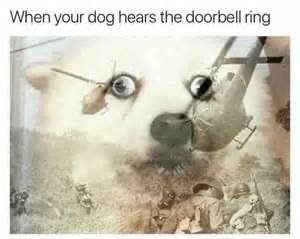 CC5D2C05-CD70-4065-A22F-403544AC4CA0.jpeg