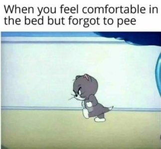 2D9E0AA1-60C6-4144-BE67-9B5CD8AF5449.jpeg