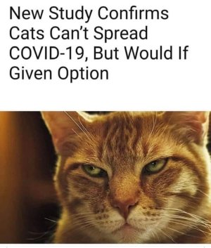 CF3FD3A6-5FE2-4B61-AEFA-F04132BF6315.jpeg