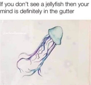 2323705C-211E-4D4E-99D3-692D6C3CC671.jpeg