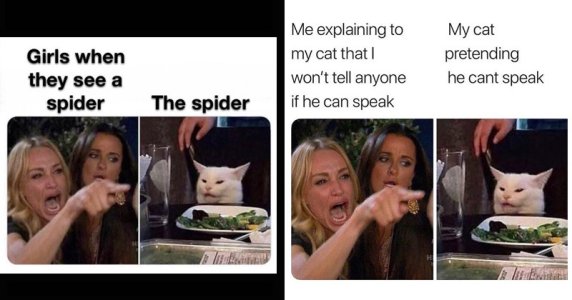 808B2ED2-C6BB-4C98-943C-65503F5DCAFB.jpeg