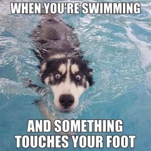 F51F3D68-7B1E-46BD-8BAB-8C9DD17BE377.jpeg