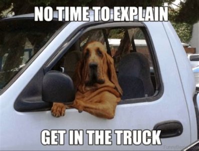 195955C6-3B6A-409C-AC9F-A083E5445735.jpeg