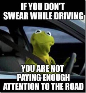 BF2B5CDF-4046-46C8-80F0-333D01D7CF3C.jpeg