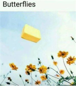 29EE30EC-EA40-49D3-A273-3E4FB001F374.jpeg