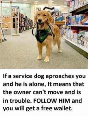 7B5C7777-D7FA-49EF-95A5-52C44B5468E4.jpeg