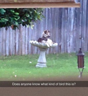 B69773E7-2D0F-4A73-81EC-14E79932582E.jpeg