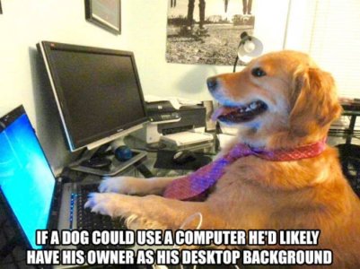 D025D8FF-9675-4D07-BC20-5C9C1C0EF37A.jpeg
