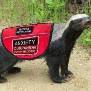 42AF3F44-214F-4811-8AE2-6EFAAEE160B1.jpeg