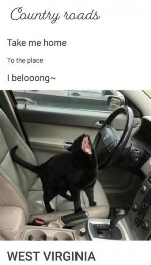 6BA9B4F8-0211-45FB-B896-A3DAB61DFEC1.jpeg