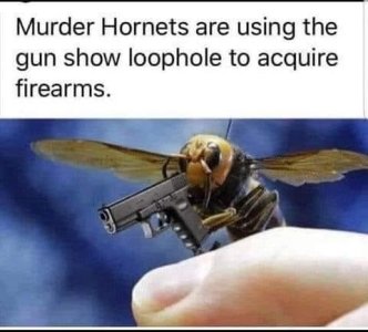 58F6400B-1820-475D-9EC7-D45C75296BB9.jpeg