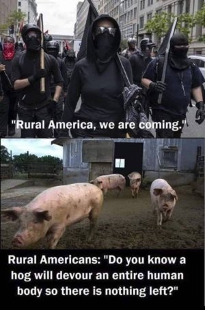 3E0D0845-7091-4F21-8D89-267CE519D053.jpeg