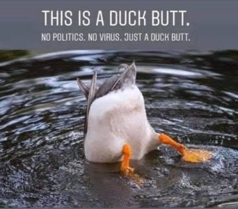 2A49E30D-62DF-4C2F-BD42-CFE654938E4D.jpeg