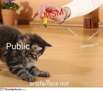 EFDBCF0B-0CE2-4623-B3AC-B378879E376C.jpeg