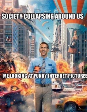 ED03A8FD-84E2-495A-B262-AB0622AF9B67.jpeg