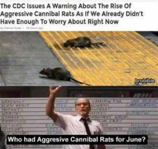 15ECFFF0-1598-4C7A-ADCD-113206A8C4A1.jpeg