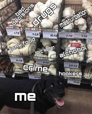 E67C1E9B-B1D0-4851-AE10-8274D66E0719.jpeg