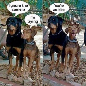6C045C56-4577-4F60-A75B-FCE323E375B8.jpeg