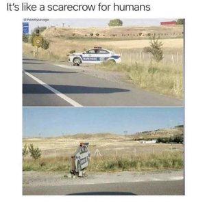 1C66538D-748E-47F5-8B2E-645CC91EE85F.jpeg