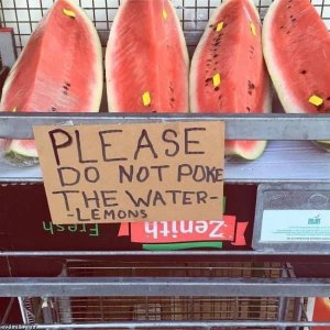 B78AFF0F-2182-4E1F-9EFA-99C7772DDFCF.jpeg
