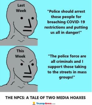 B208D4D1-521E-4F2E-8EFC-8B04BA6D85CE.jpeg